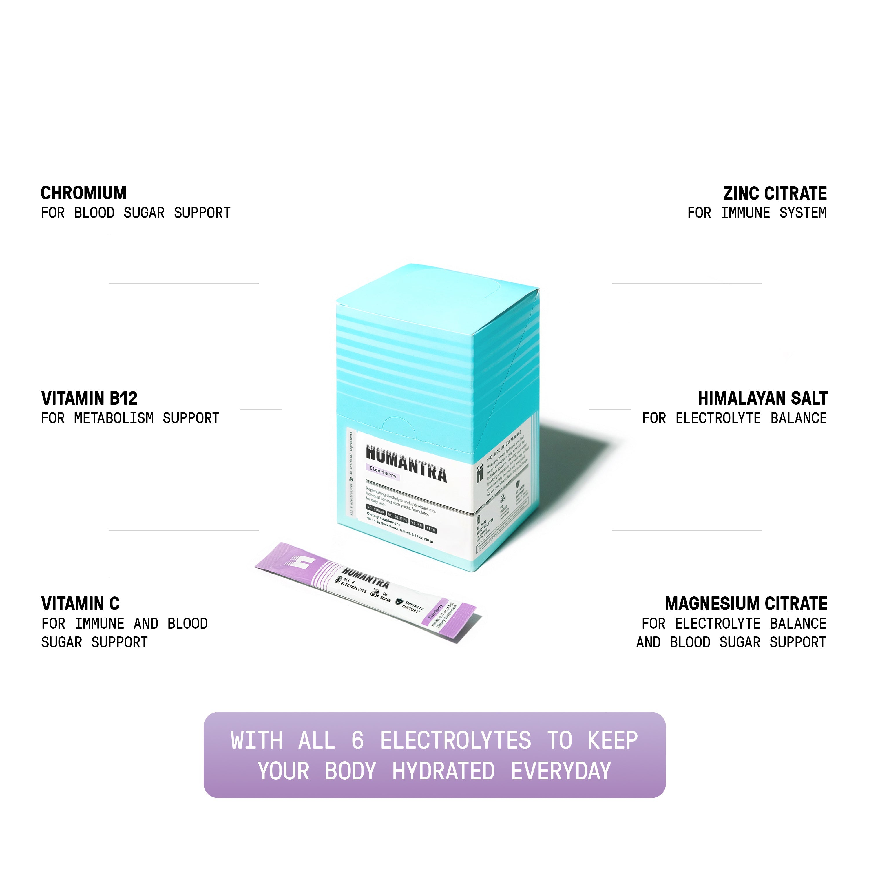 Discovery Pack (Elderberry and Lime)